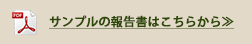 サンプルの報告書はこちらから